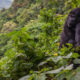 gorilla-trekking-in-mgahinga-starting-from-kigali