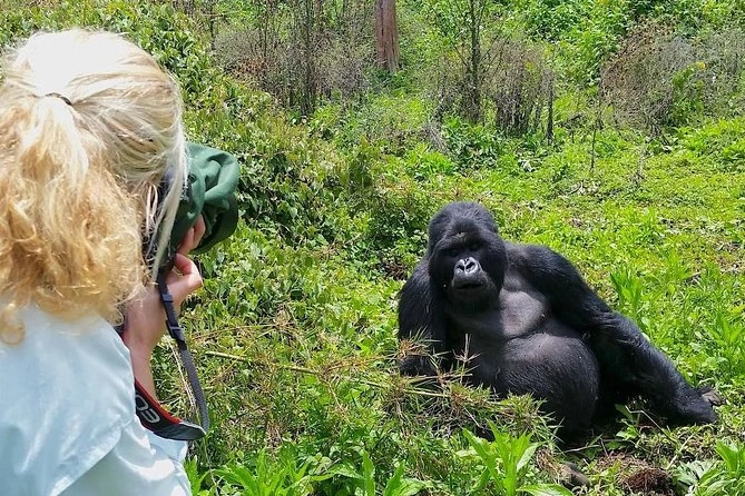 Murchison Falls